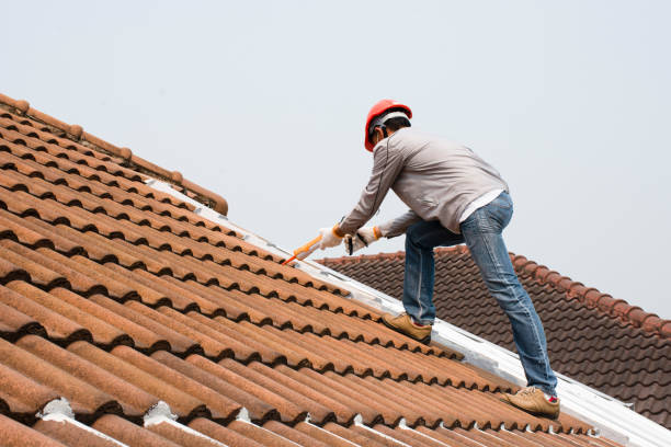Best Roof Installation  in Terrell Hills, TX